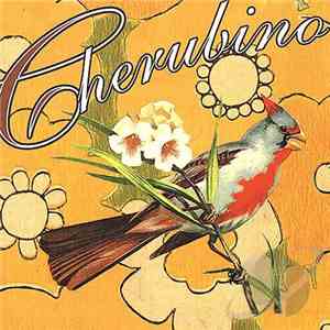 Cherubino - Bird