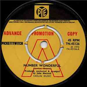 Pickettywitch - Number Wonderful