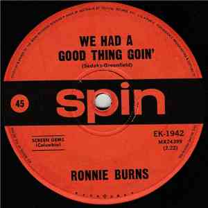 Ronnie Burns - We Had A Good Thing Goin'