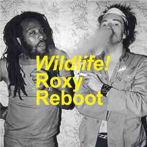 Wildlife  - Roxy Reboot