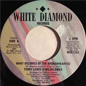 Terry Lewis  & Wildflower  - What Becomes Of The Brokenhearted