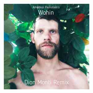 Amadeus Paulussen - Wohin (Dion Monti Remix)
