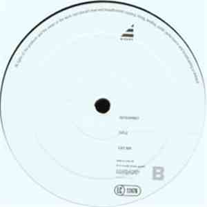 DJ Delicious - Like To Do It (With The DJ) (Remix)