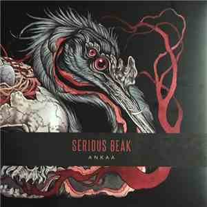 Serious Beak - Ankaa