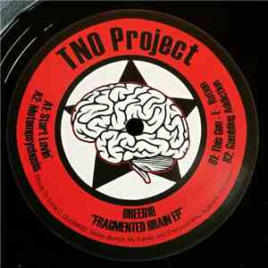 TNO Project - Fragmented Brain