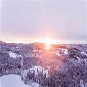 William Hoshal - Early December Light