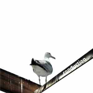 Various - Conduction