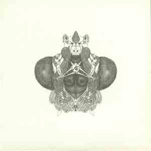 Jasper Wolff & Maarten Mittendorff - Remixes