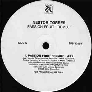 Nestor Torres - Passion Fruit (Remix)