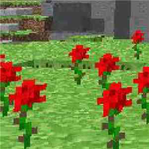 Pink Noise Ordinance - I Slept In A Field