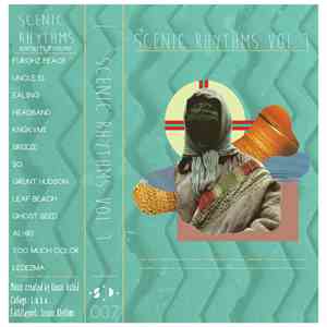 Various - Scenic Rhythms Vol 1