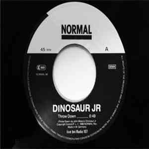 Dinosaur Jr. - Throw Down