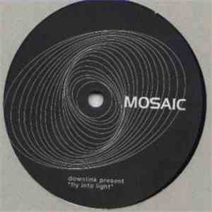 Downlink - Fly Into Light