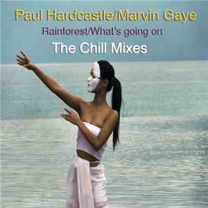 Paul Hardcastle Feat. Marvin Gaye - Rainforest / What's Going On (The Chill ...