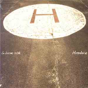 La Buena Vida - Harmónica