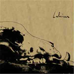 Lahius - Lahius