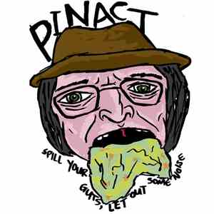 Pinact - Spill Your Guts, Let Out Some Noise
