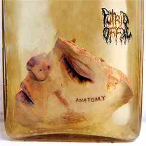 Putrid Offal - Anatomy