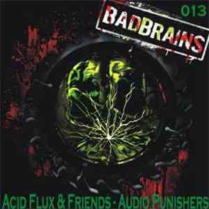Acid Flux - Audio Punishers
