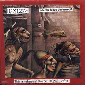 IDX1274 - Deluxe Rehearsal Noise Box