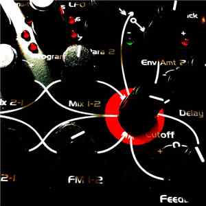 Frank Wilke - Pueree Resonance