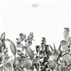 Hannes Buder - CHANGES II
