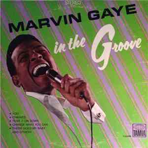 Marvin Gaye - In The Groove