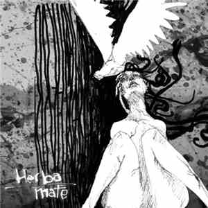 Herba Mate - The Jellyfish Is Dead And The Hurricane Is Coming