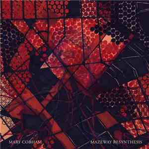 Mary Cobham - Mazeway Resynthesis