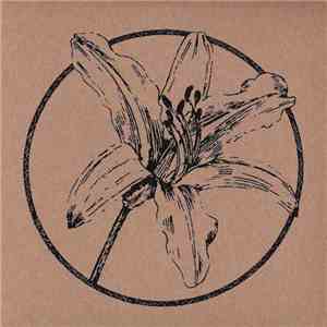 Cass., Altars Altars - Split