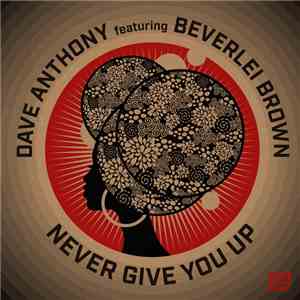 Dave Anthony Featuring Beverlei Brown - Never Give You Up