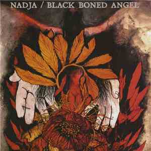 Nadja  / Black Boned Angel - Nadja / Black Boned Angel