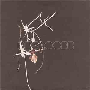 Recloose - Hiatus On The Horizon
