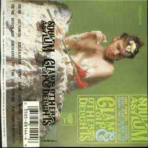 Soul Asylum  - Clam Dip & Other Delights