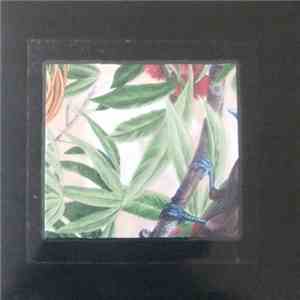 Damiano Von Erckert & Tito Wun - Mr. Pink, What Have You Been Smokin'?