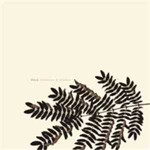 Flica - Windvane & Window
