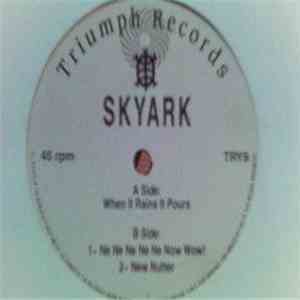 Skyark - When It Rains It Pours