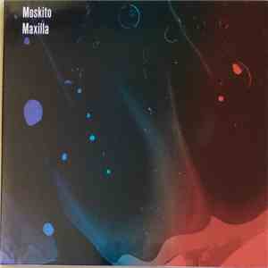 Moskito  - Maxilla