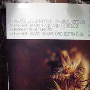 Abraham - What Gives With You