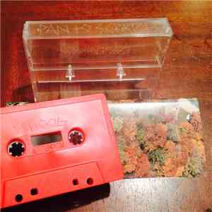 Pan To Scratch - Untitled