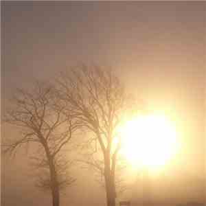 Purl - Waking Music