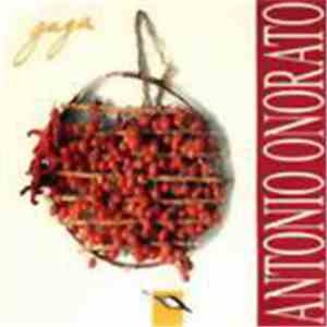 Antonio Onorato - Gaga