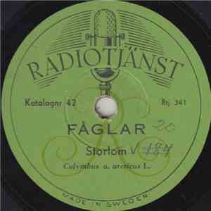 No Artist - Fåglar