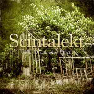 Scintalekt - The Dreamhouse Effect