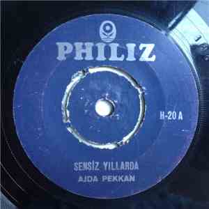 Ajda Pekkan - Sensiz Yıllarda / Olmadı Gitti