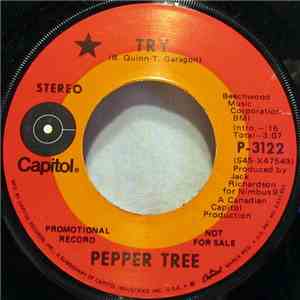 Pepper Tree - Try / How Many Times