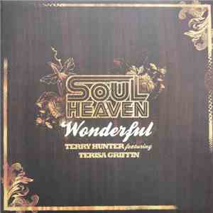 Terry Hunter Featuring Terisa Griffin - Wonderful