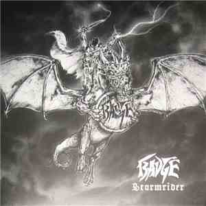 Badge  - Stormrider