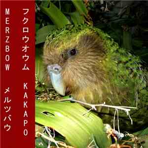 Merzbow - Kakapo