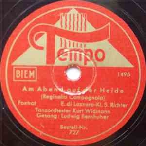 Tanzorchester Kurt Widmann / Berolina Symphonie-Orchester - Am Abend Auf De ...